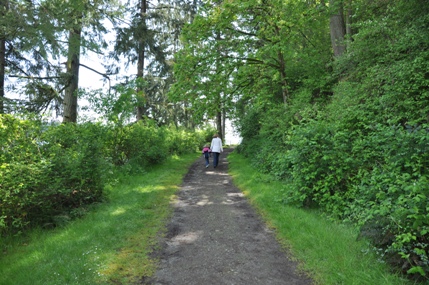 hiking trail