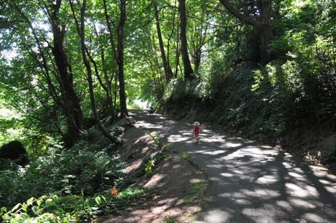 marine view park trail