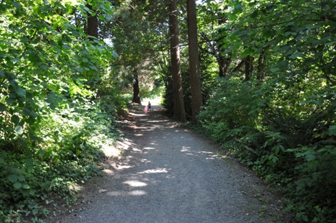 marine view park trail