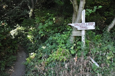 Valley Loop trail