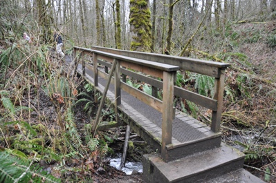 Coal Creek Bridge 