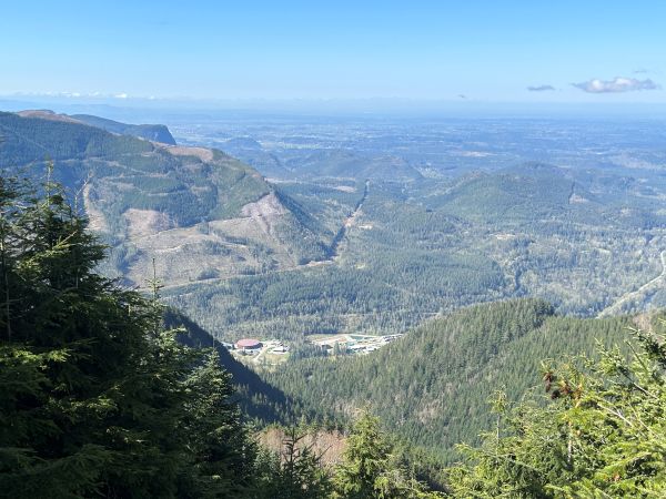 enumclaw