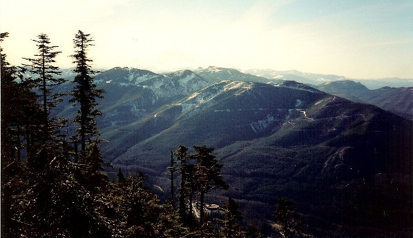 Enumclaw State Forest 