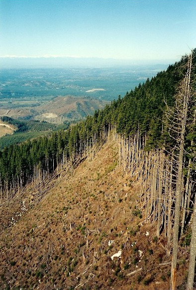 McDonald Mountain 