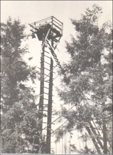 cedar mountain lookout