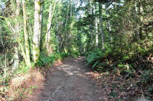 mcgarvey park trail