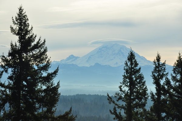 Mount Rainier 