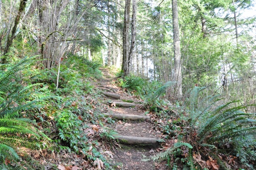 mcgarvey park renton