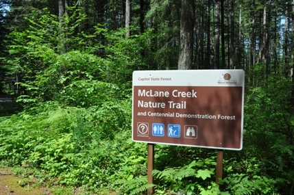 McLane Creek 