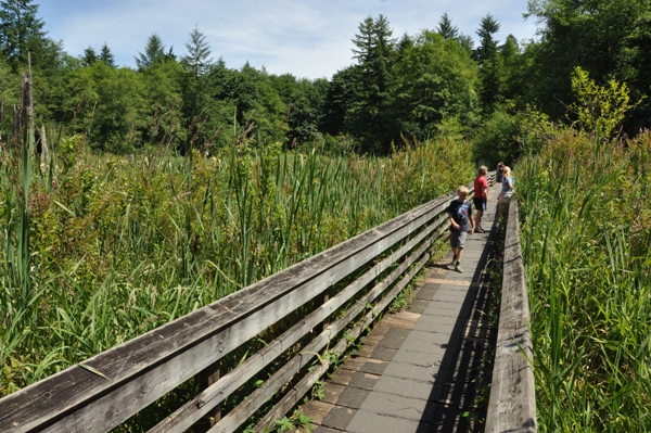 wetland