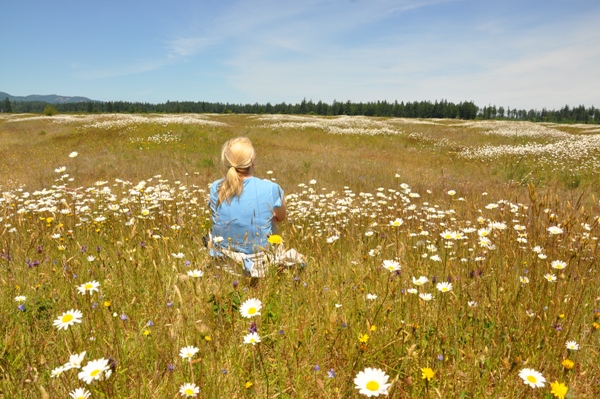 mima mounds