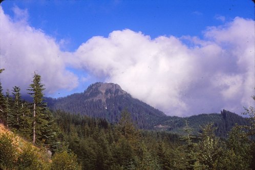 Mount Beljica