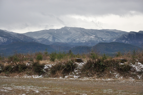 Grass Mountain North