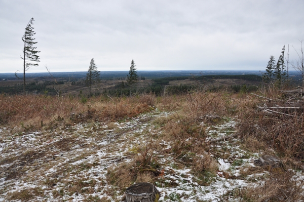 summit of mudbog hill