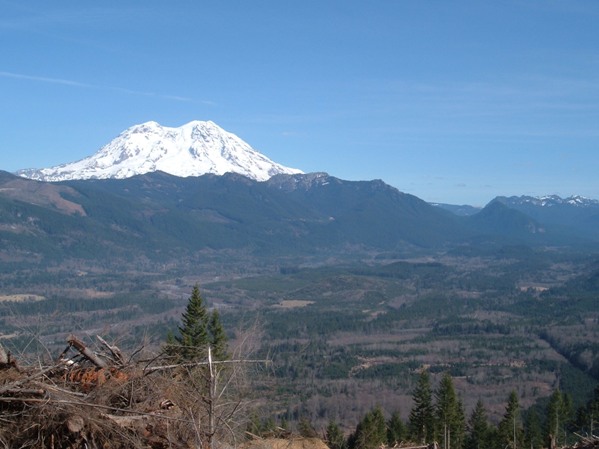 Nisqually Valley 