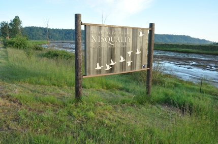 Nisqually Refuge 