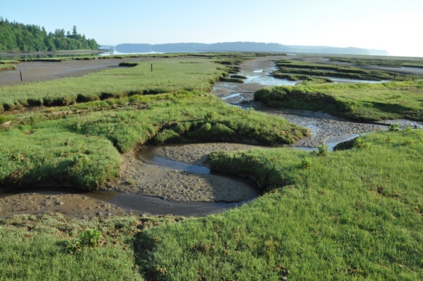 nisqually wildlife refuge