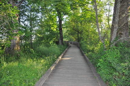 Nisqually wildlife refuge