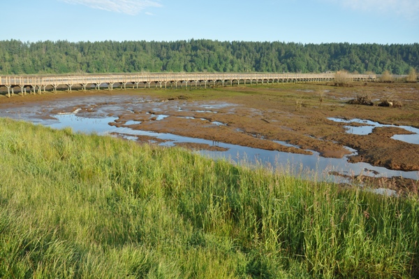 nisqually refuge