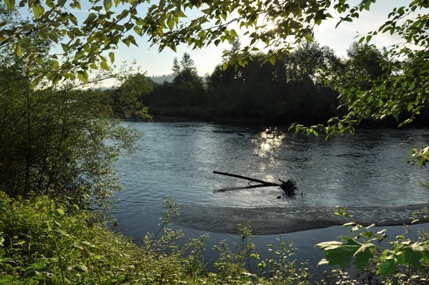 Nisqually River Overlook