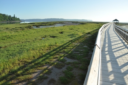 nisqually wildlife refuge