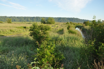 nisqually refuge