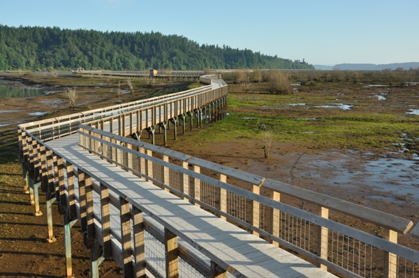 nisqually refuge boardwalk