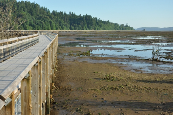 nisqually wildlife refuge