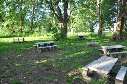 Picnic area 