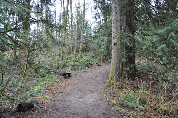 hiking nolte state park