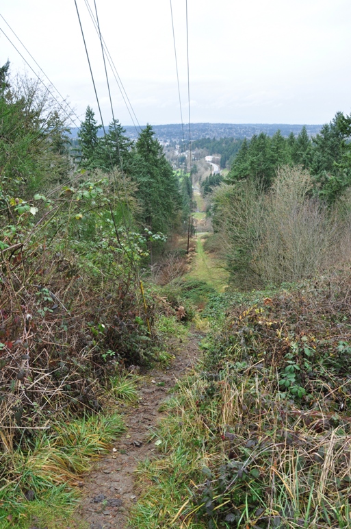 Norway Hill trail