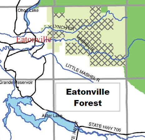 Eatonville Forest Map