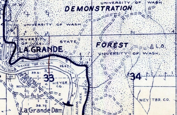 pack forest map