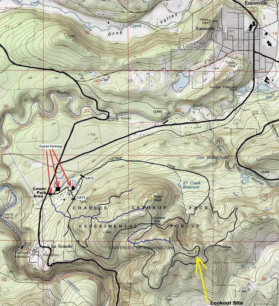 pack forest map