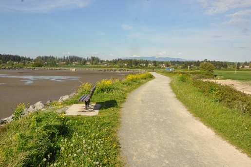 hiking trail