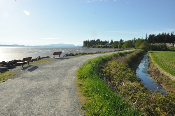 shore hike