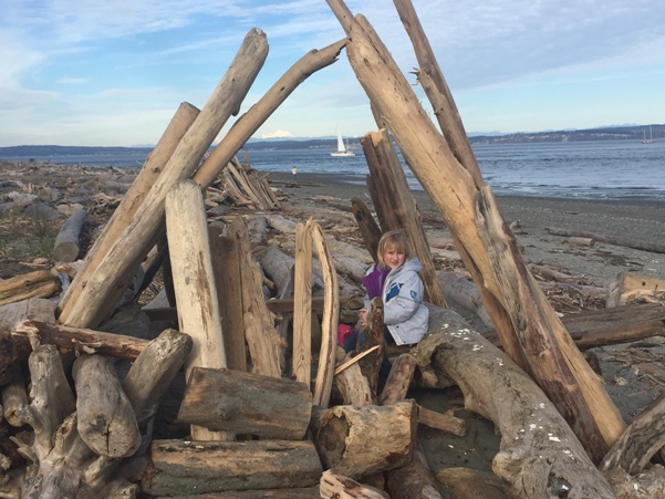 Driftwood 