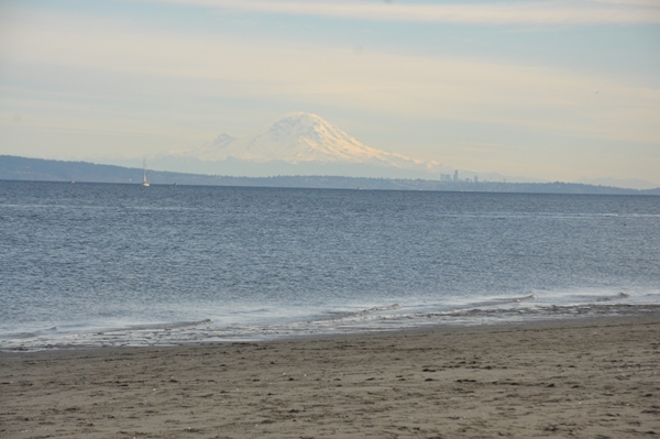 Mount Rainier 