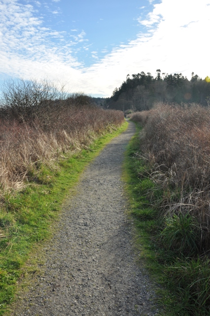 Wetland Trail