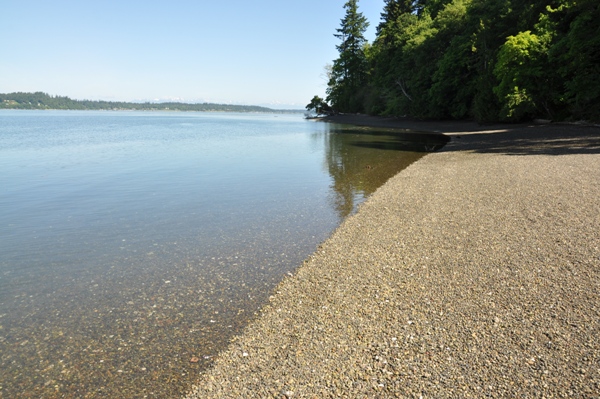 Priest Point Park