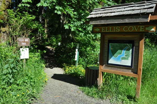 Ellis Cove trailhead