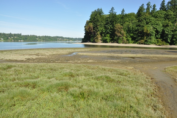 priest point park 