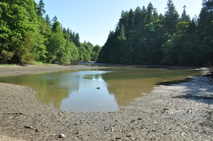 priest point park