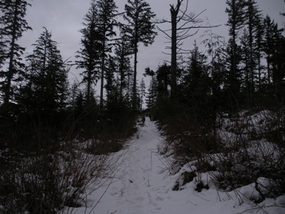 rattlesnake mountain trail