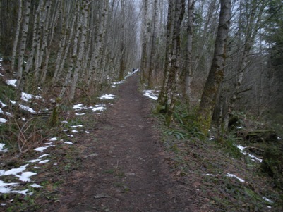 rattlesnake mountain trail