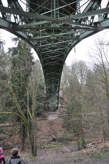 ravenna park bridge