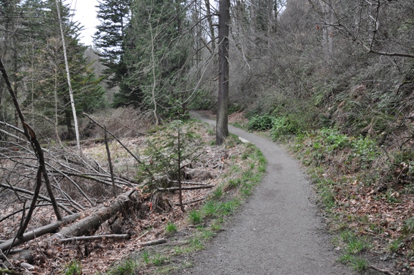 North Ravine trail