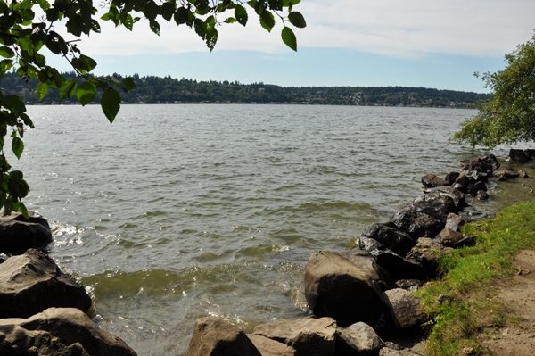 Lake Washington