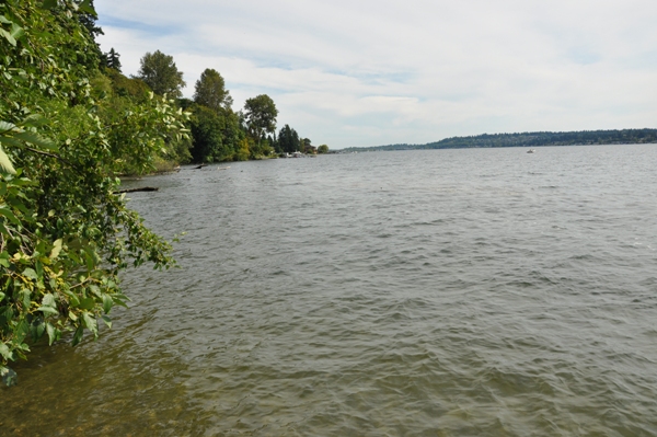 Lake Washington