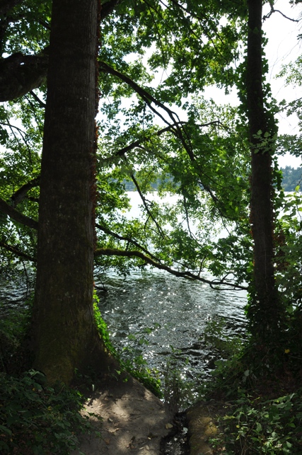 Lake Washington